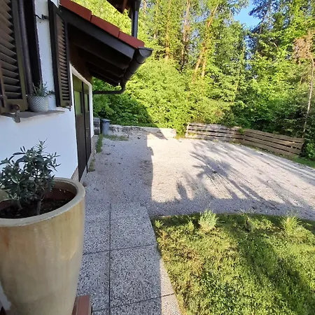 Pocitniska Hiska Pri Lipi *