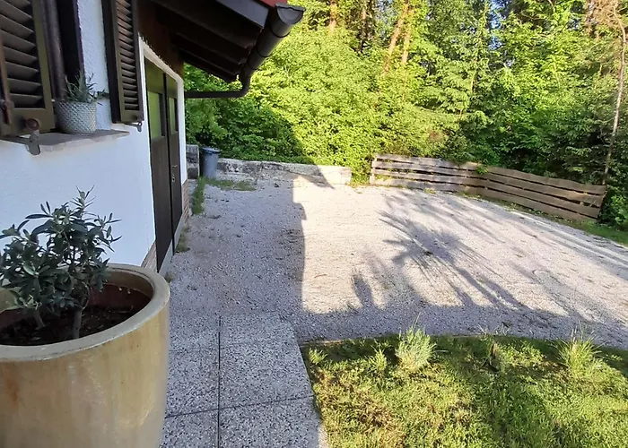 Pocitniska Hiska Pri Lipi *